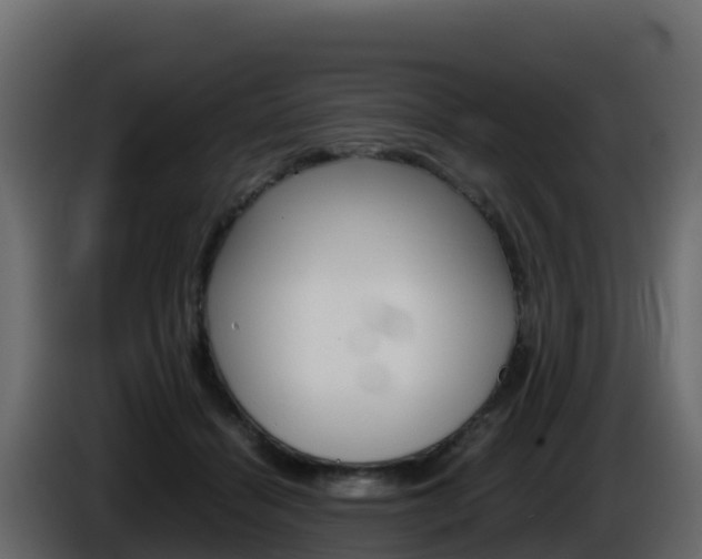 X0000086030460200703230958
