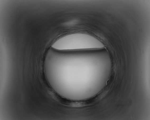 X0000086030461200703230958