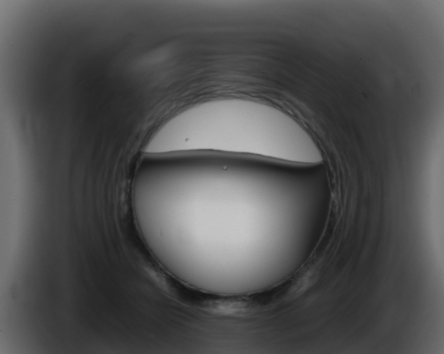 X0000086030462200703230958