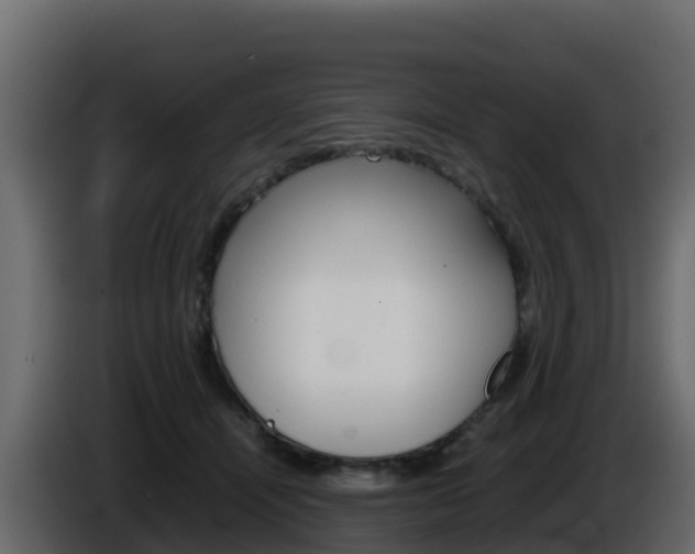 X0000086030464200703230958