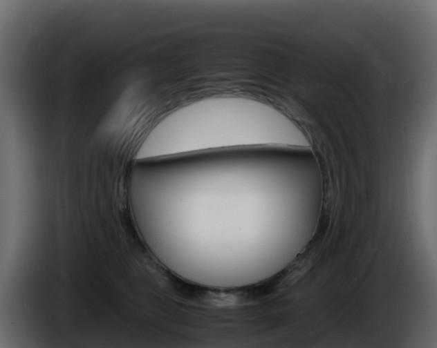 X0000086030469200703230958
