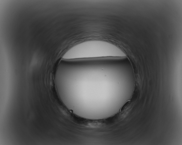 X0000086030470200703230958