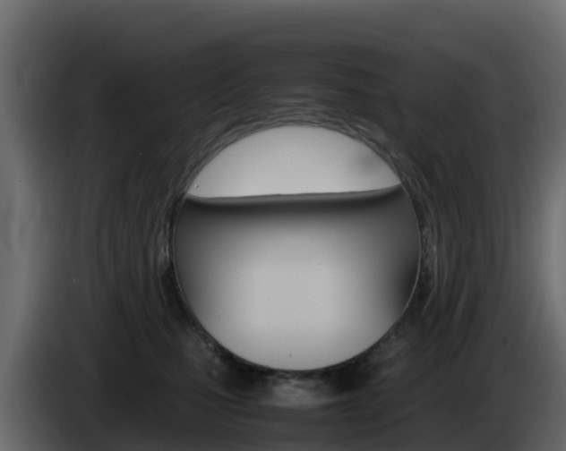 X0000086030471200703230958