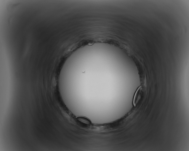 X0000086030472200703230958