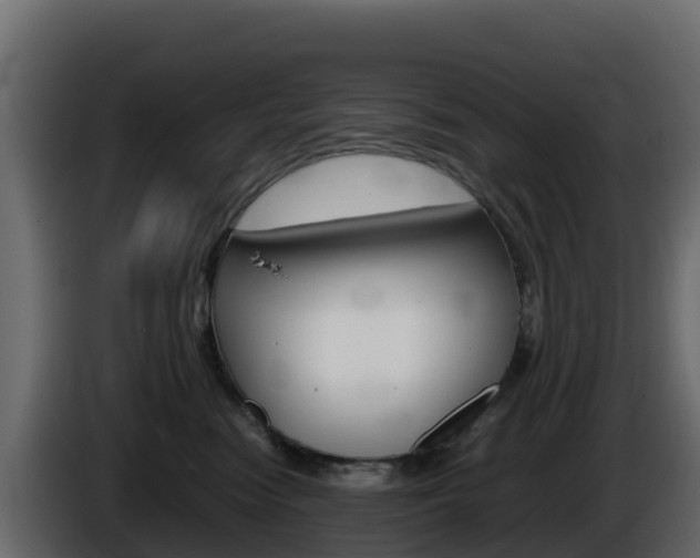 X0000086030474200703230958