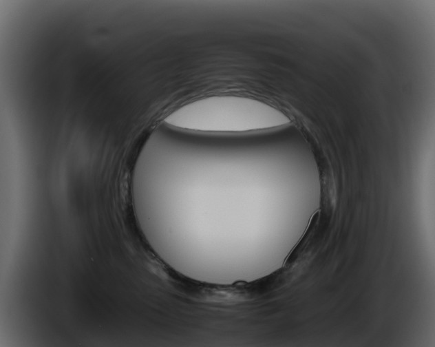 X0000086030475200703230958