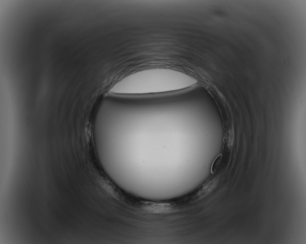 X0000086030476200703230958