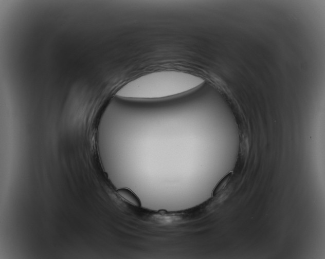 X0000086030477200703230958
