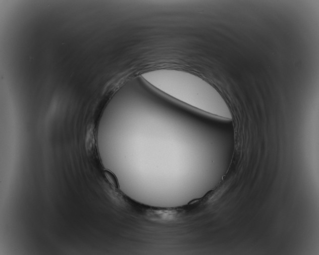 X0000086030478200703230958