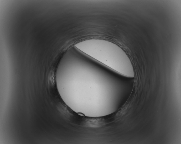 X0000086030479200703230958
