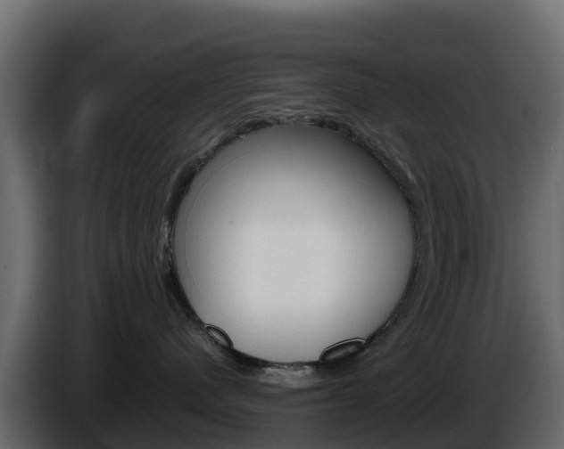 X0000086030480200703230958
