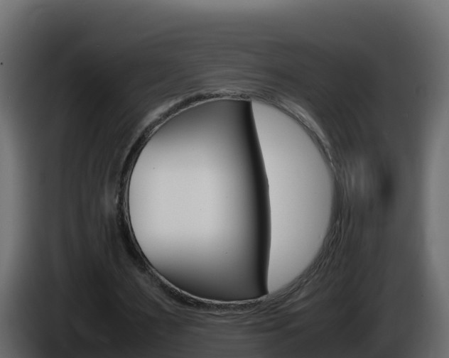X0000086030483200703230958