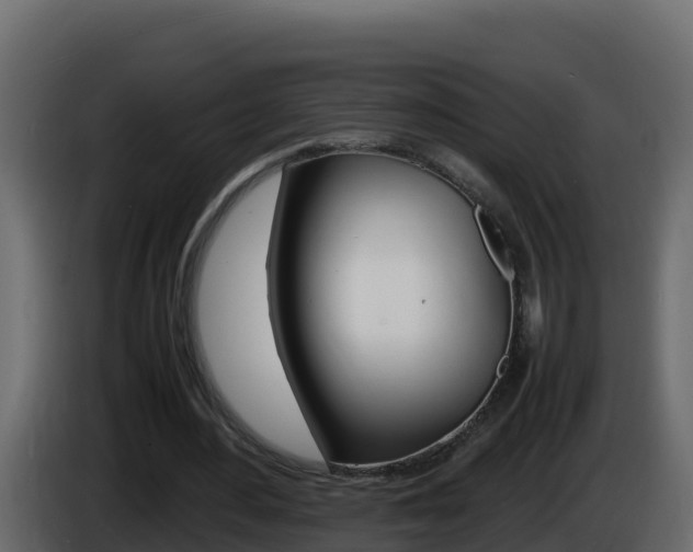 X0000086030484200703230958