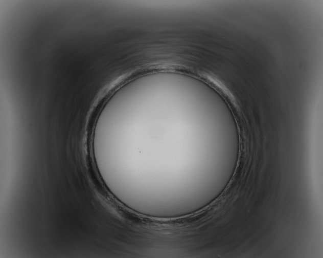 X0000086030486200703230958