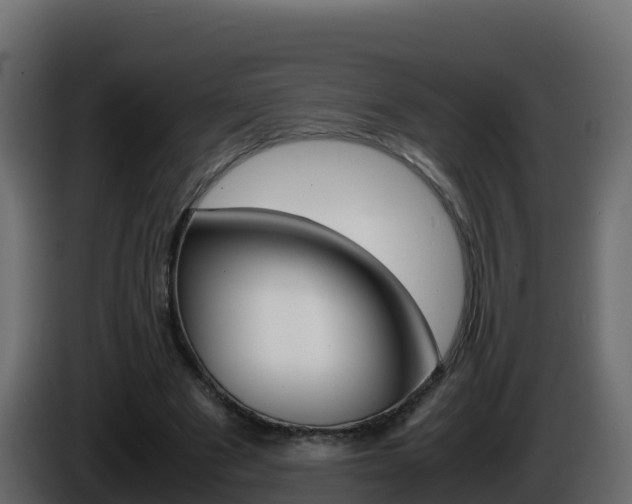 X0000086030489200703230957