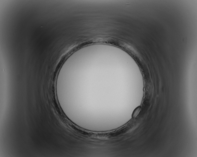 X0000086030491200703230957