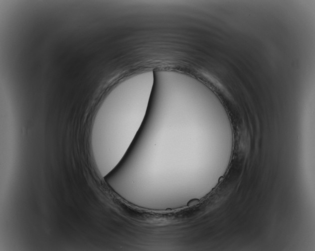 X0000086030494200703230957