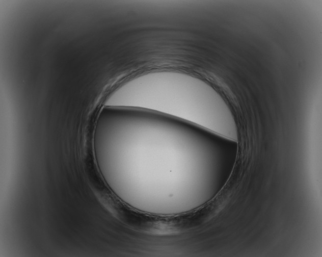 X0000086030496200703230957