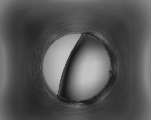 X0000086030497200703230957