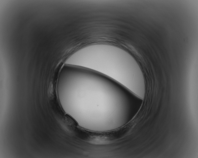 X0000086030500200703230957