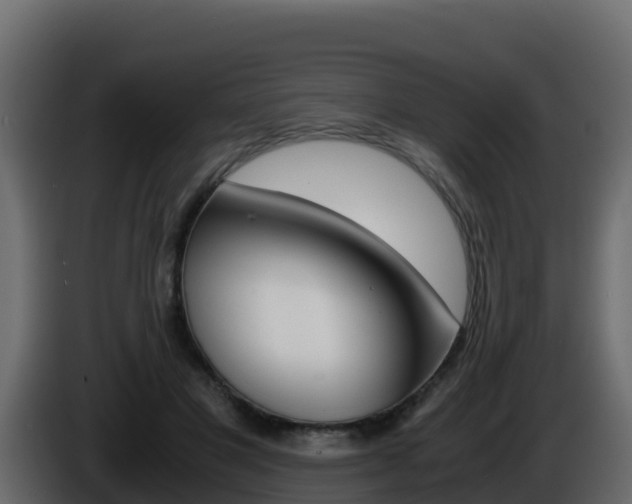 X0000086030501200703230957