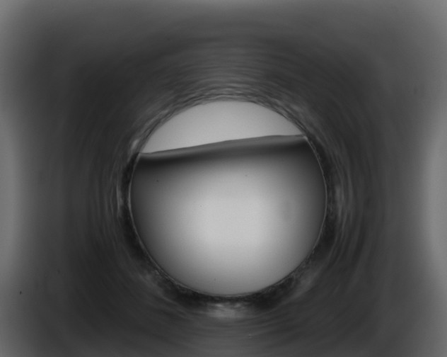 X0000086030508200703230957