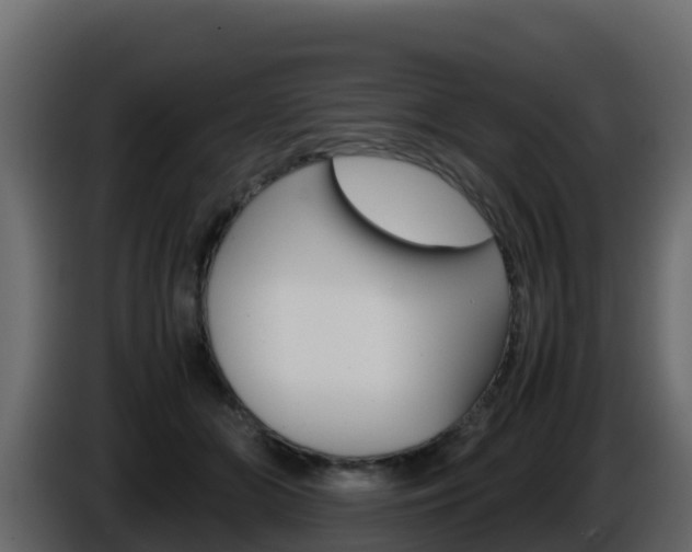 X0000086030510200703230957