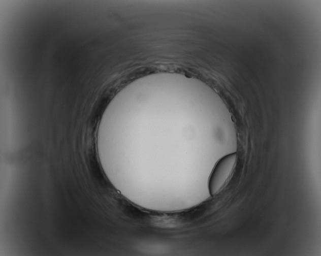 X0000086030511200703230957