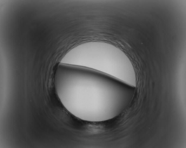 X0000086030515200703230957