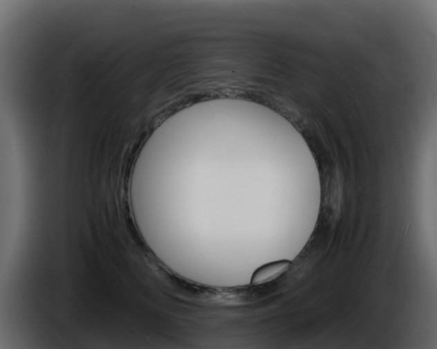 X0000086030518200703230957
