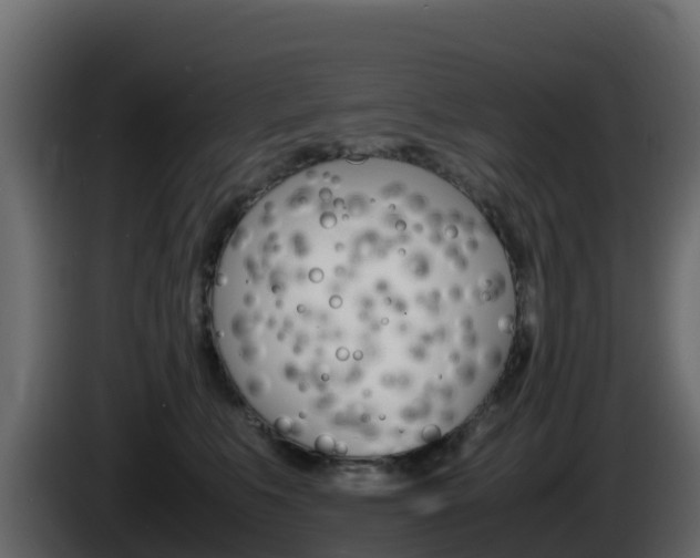 X0000086030519200703230957