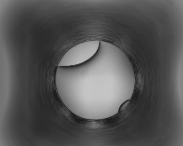 X0000086030522200703230957