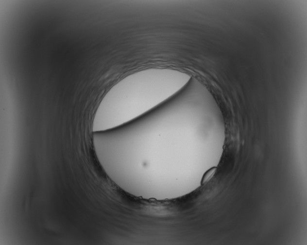 X0000086030523200703230957