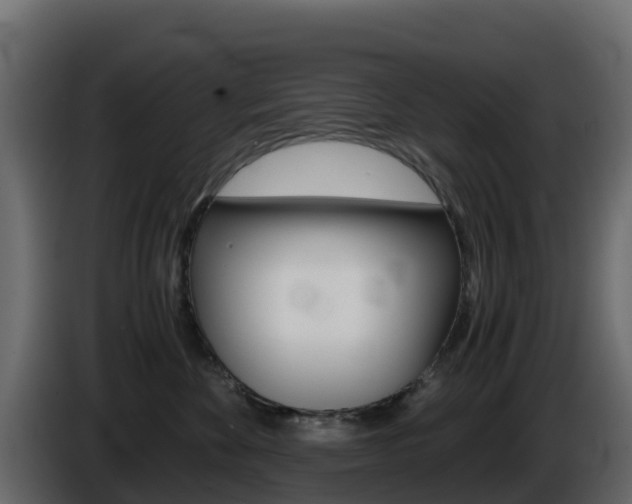 X0000086030524200703230957