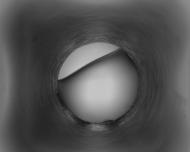 X0000086030528200703230957