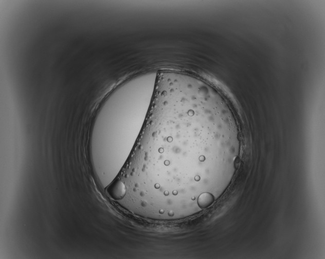 X0000086030529200703230956