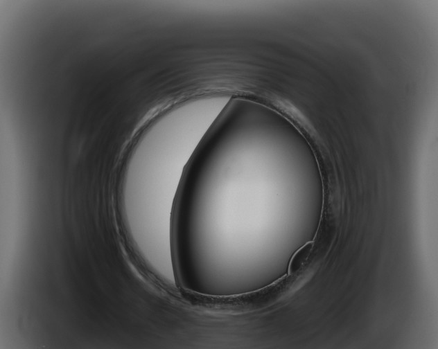 X0000086030530200703230956