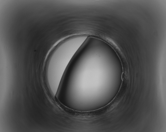 X0000086030532200703230956