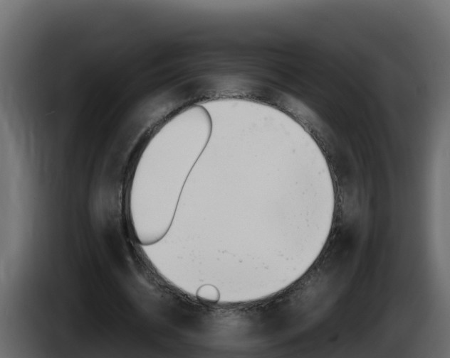 X0000086030534200703230956