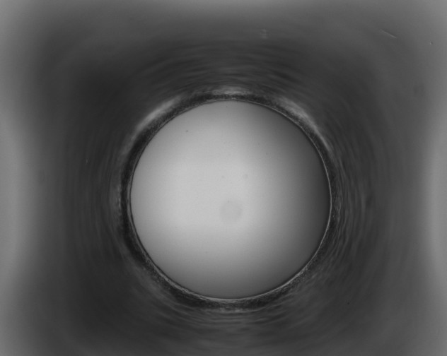 X0000086030535200703230956