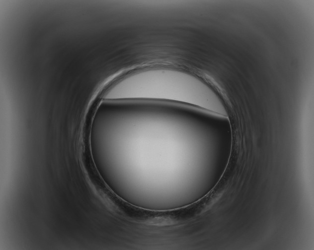 X0000086030536200703230956