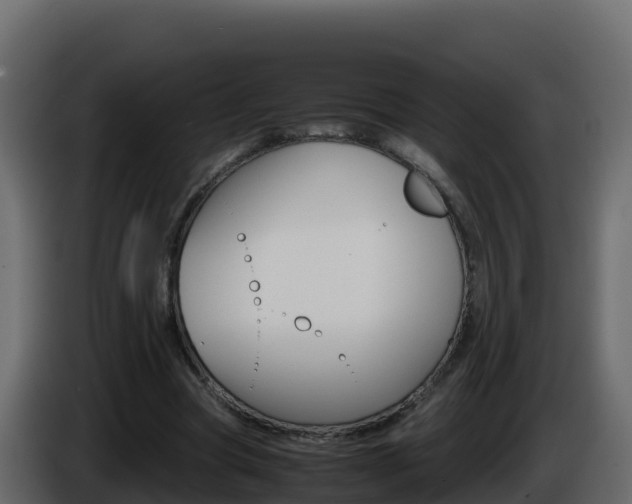 X0000086030537200703230956