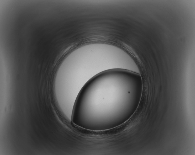 X0000086030538200703230956