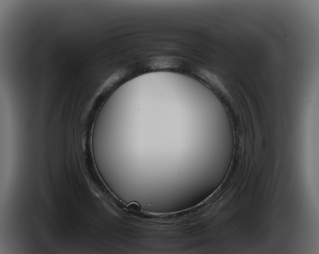 X0000086030539200703230956