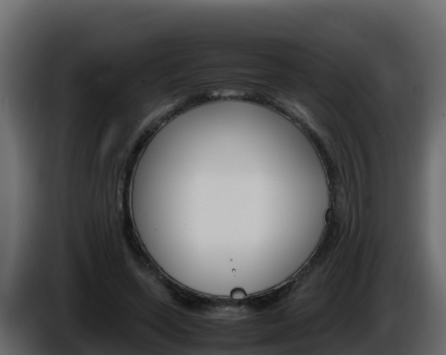 X0000086030543200703230956