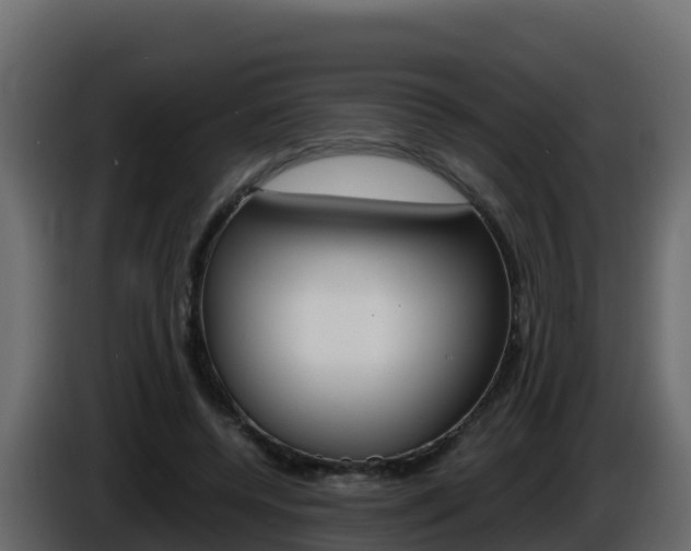 X0000086030544200703230956