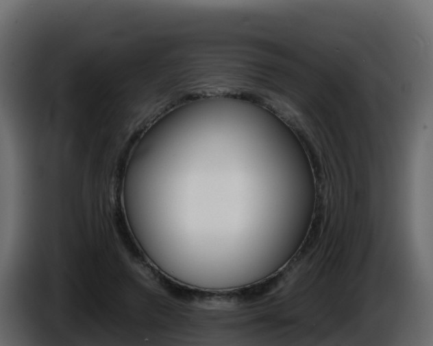 X0000086030546200703230957