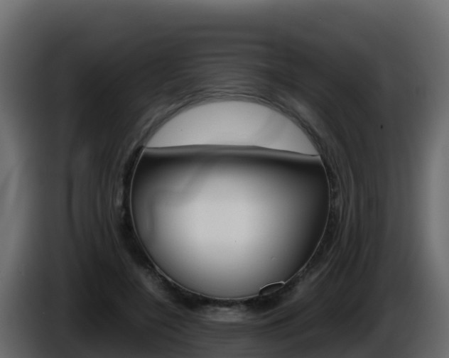 X0000086030548200703230957