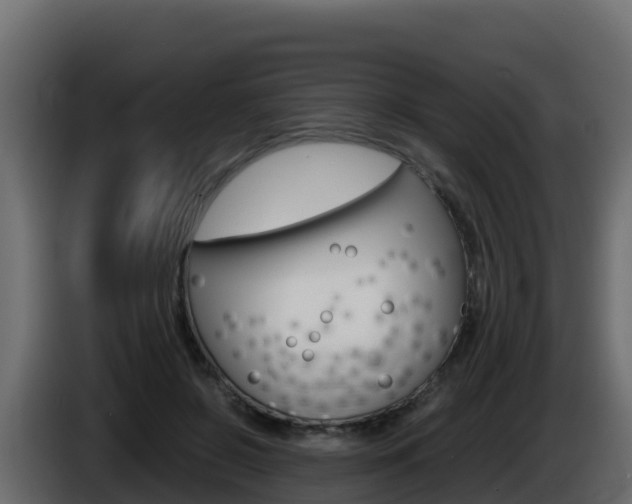 X0000086030550200703230957