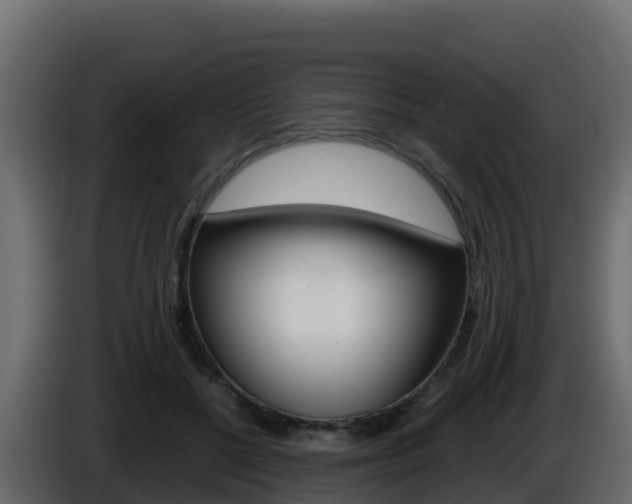 X0000086030552200703230957